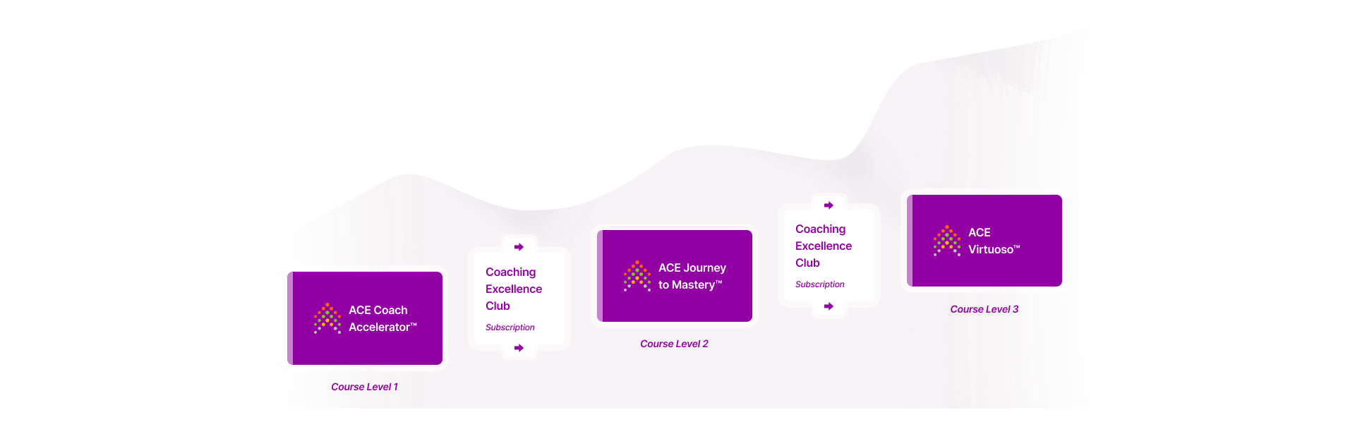 ACE - ACE -